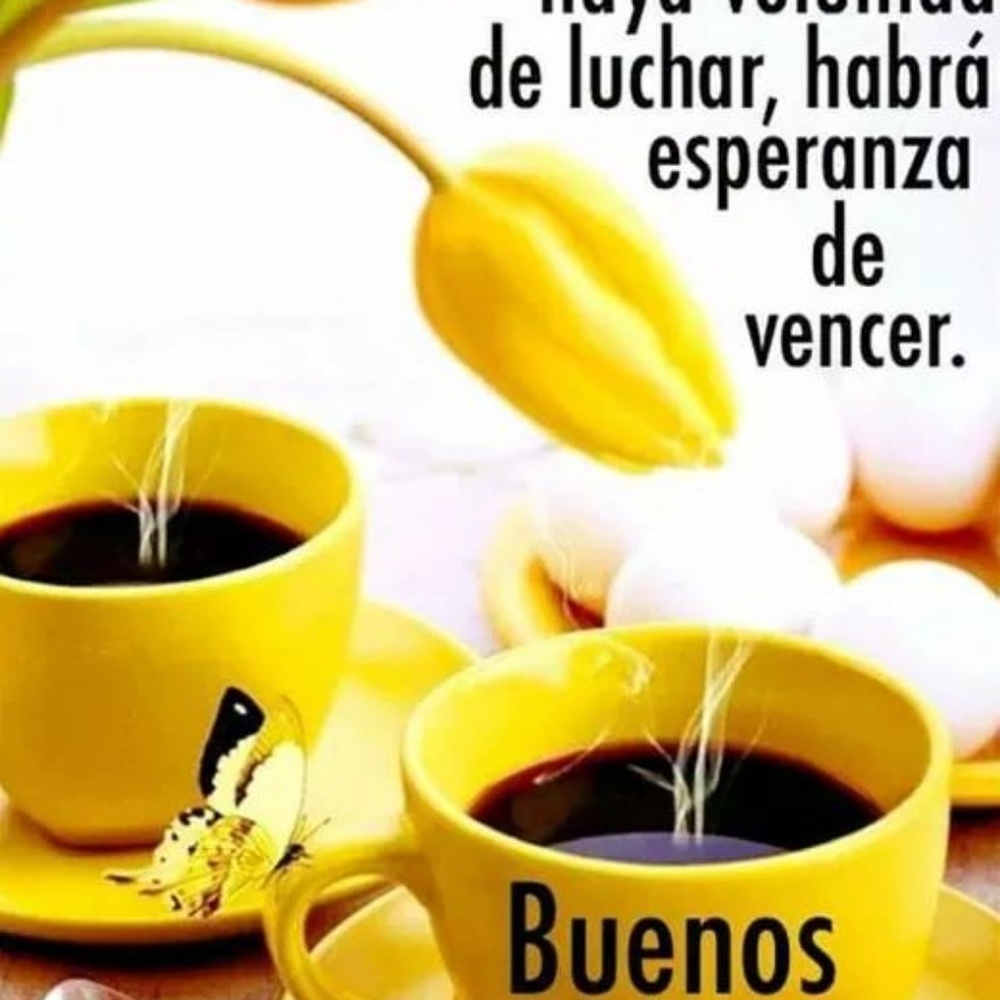 Meet your Posher, Ivan